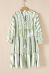 Mini striped mini and sleeves