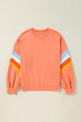 Flamingo flamenco y cuello redondo