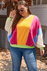 Rose Red Plus Size Exposed Seam Patchwork Colorblock Sweatshirt