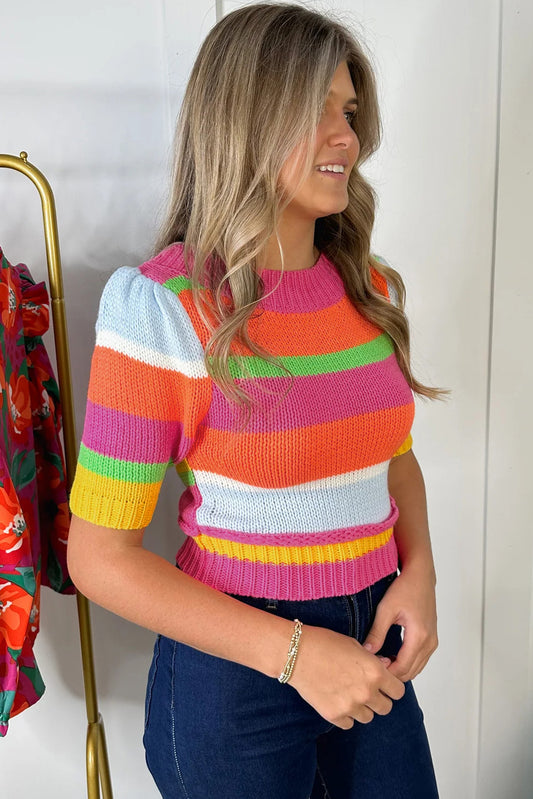 Multicolour Color Block Cropped Short Sleeve Sweater