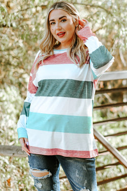 Plus Size Green Colorblock Sweater Top