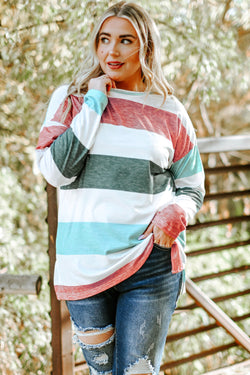 Plus Size Green Colorblock Sweater Top