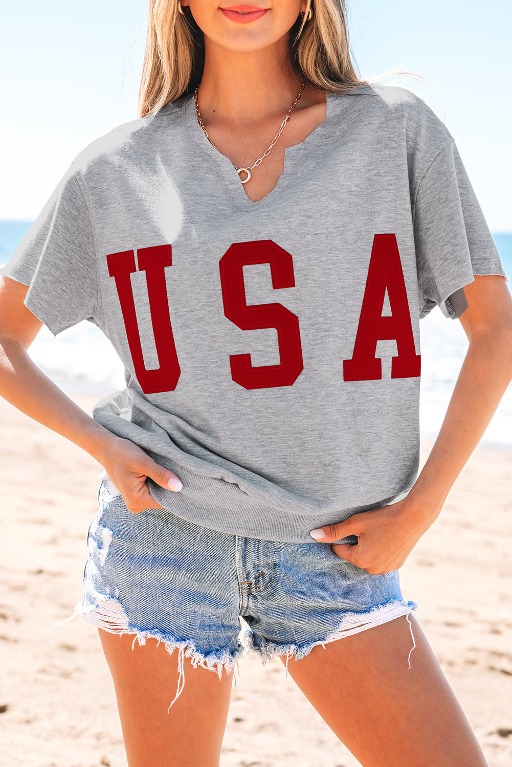 Light gray light t-shirt with lettering USA and notched collar