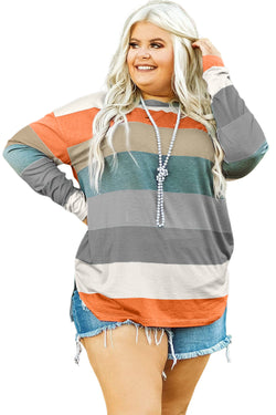 Plus Size Green Striped Colorblock Sweater Top