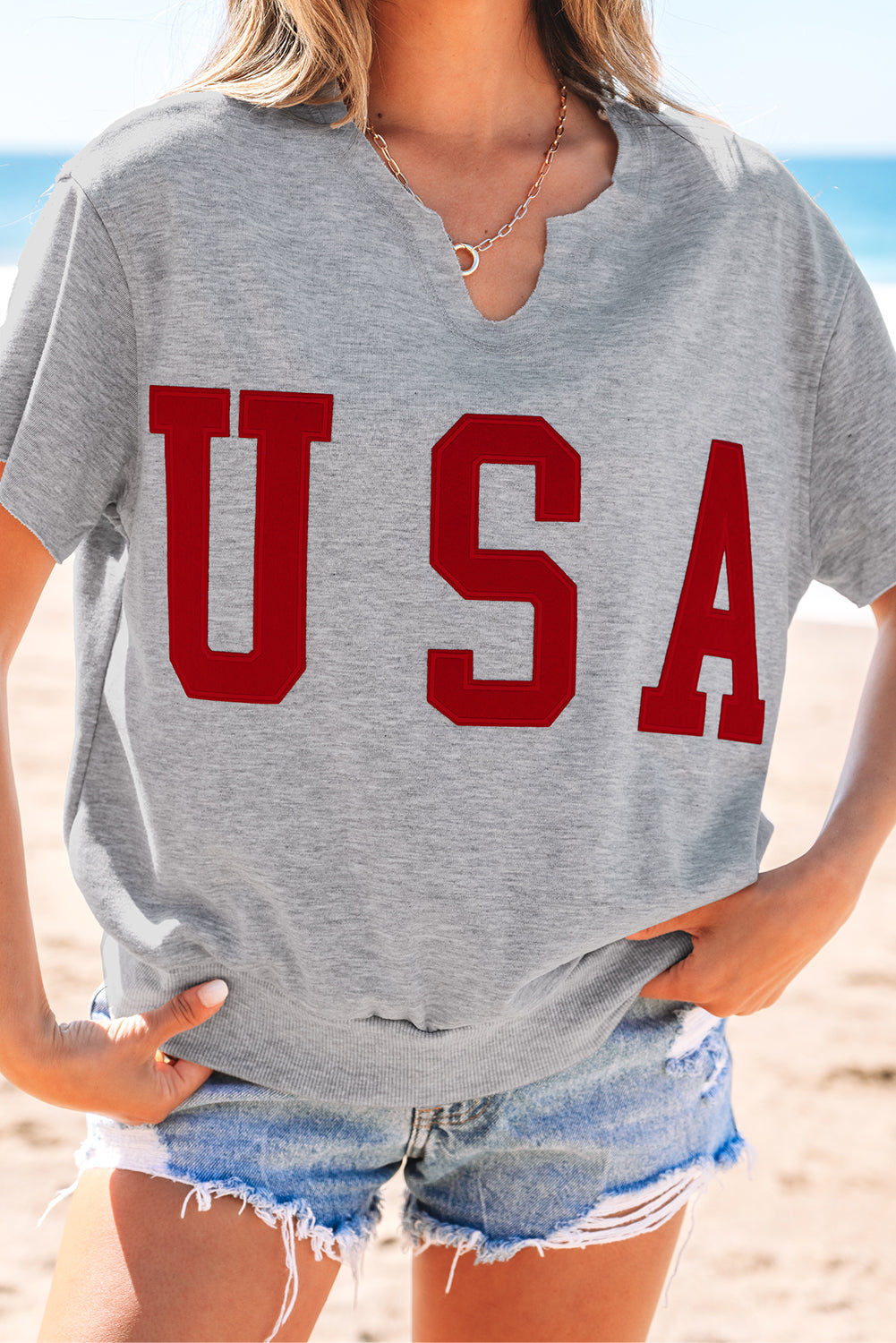 Light gray light t-shirt with lettering USA and notched collar