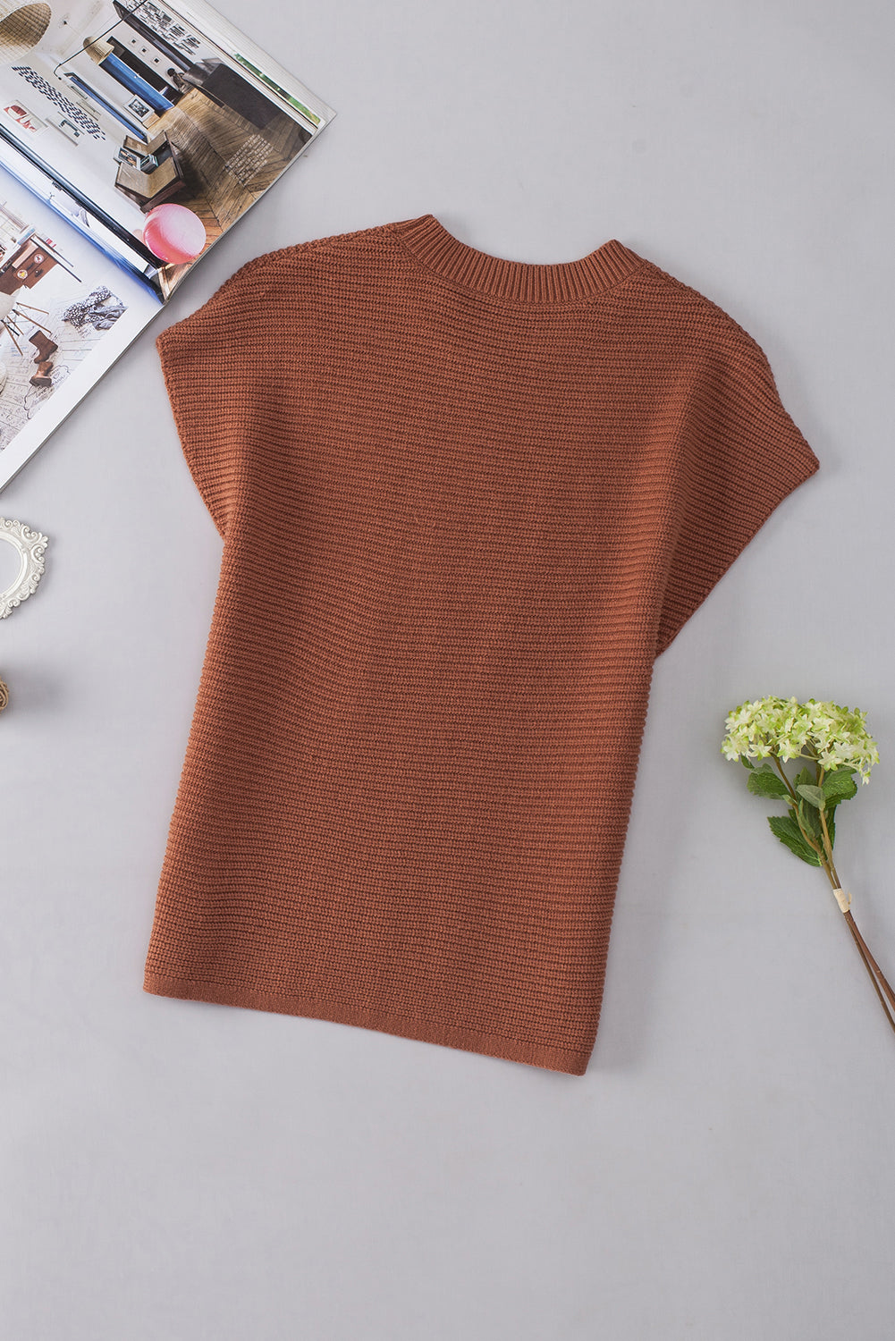 Chestnut Plain Crew Neck Short Sleeve Sweater