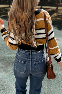 Brown Contrast Stripe Textured Knit V-Neck Sweater