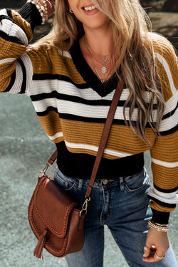 Brown Contrast Stripe Textured Knit V-Neck Sweater