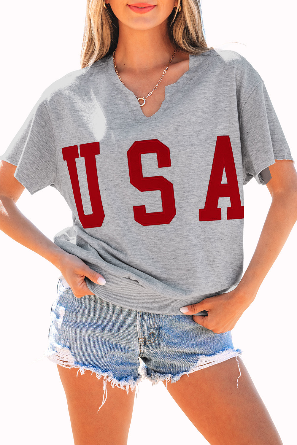 Light gray light t-shirt with lettering USA and notched collar